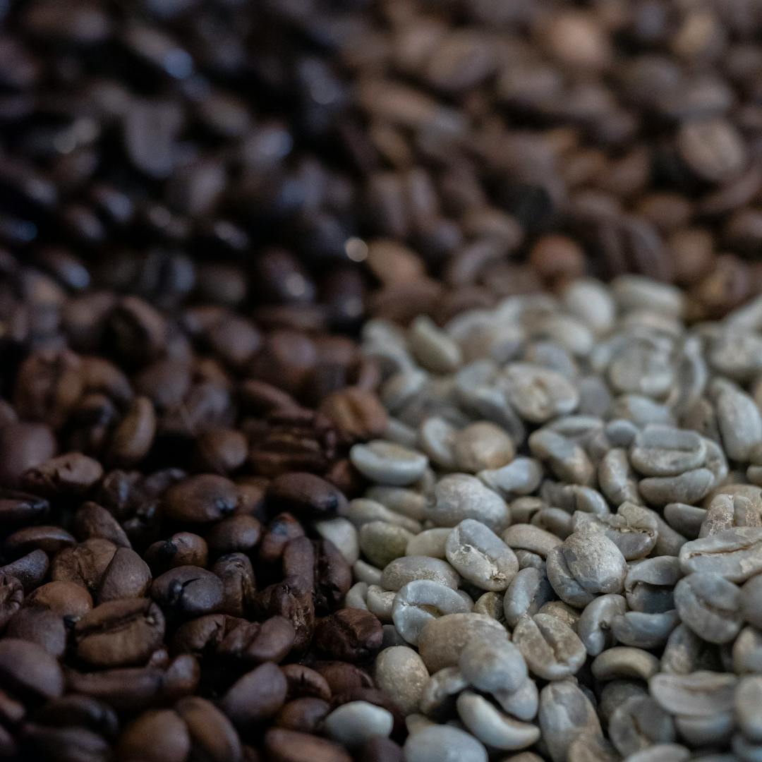 Ethiopian Yirgacheffe specialty coffee beans