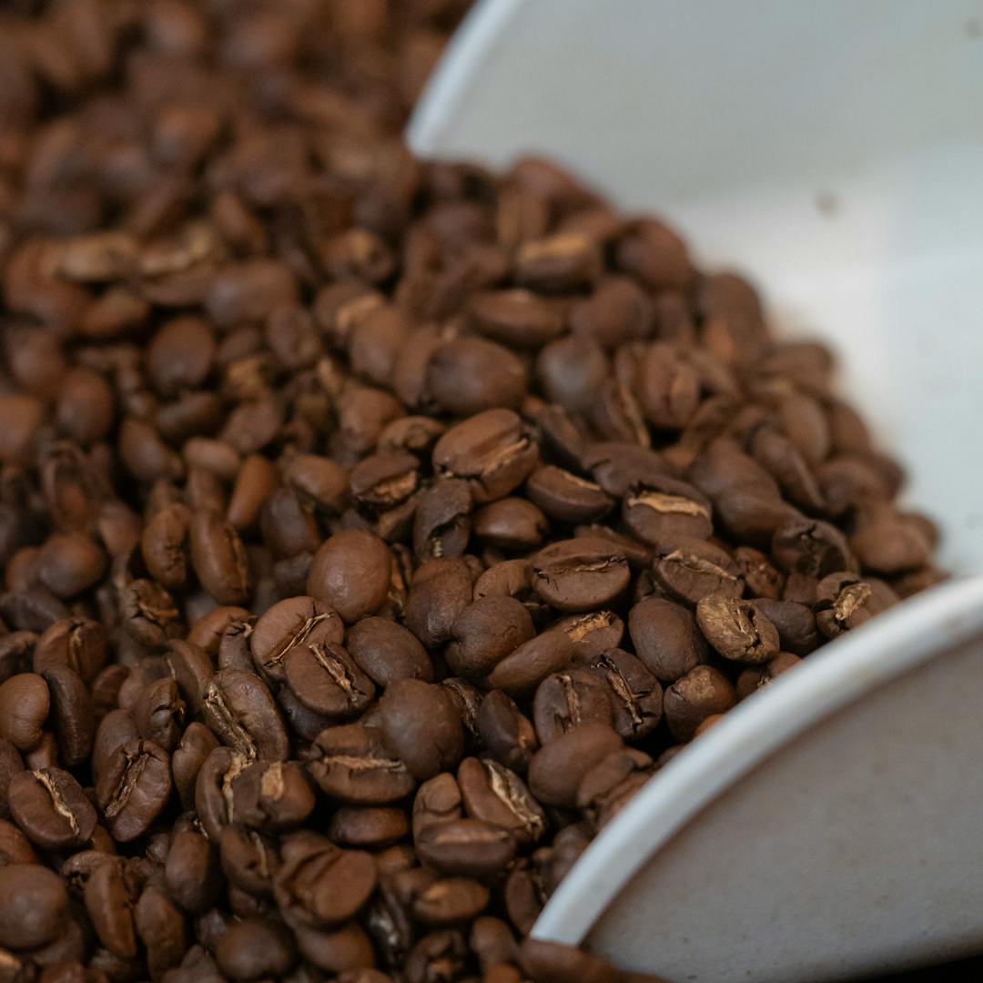 Kenya Highland specialty coffee beans
