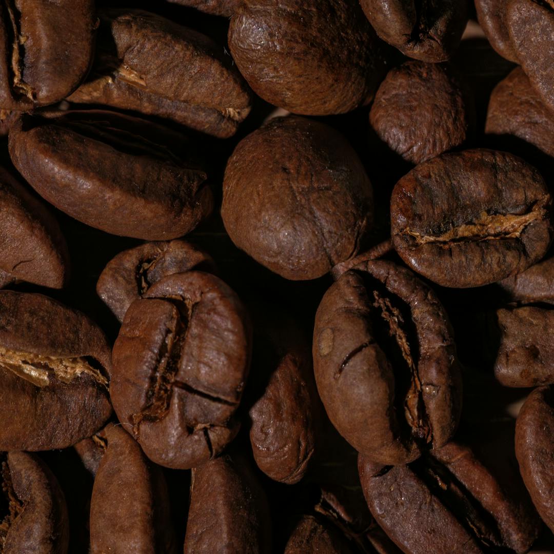 House Espresso specialty coffee beans